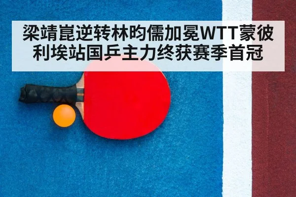 table tennis racket close up